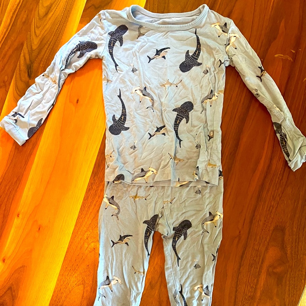 Kyte Baby Long Sleeve Pajama Set, size 2T, Stream Shark
